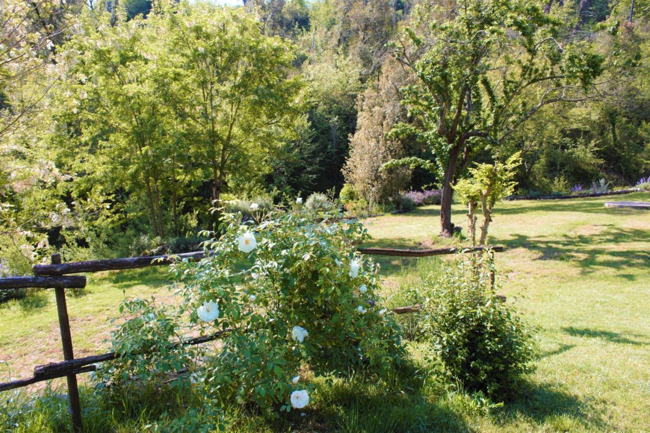 Villa Mulino Della Rivolta Montenero  Exterior foto