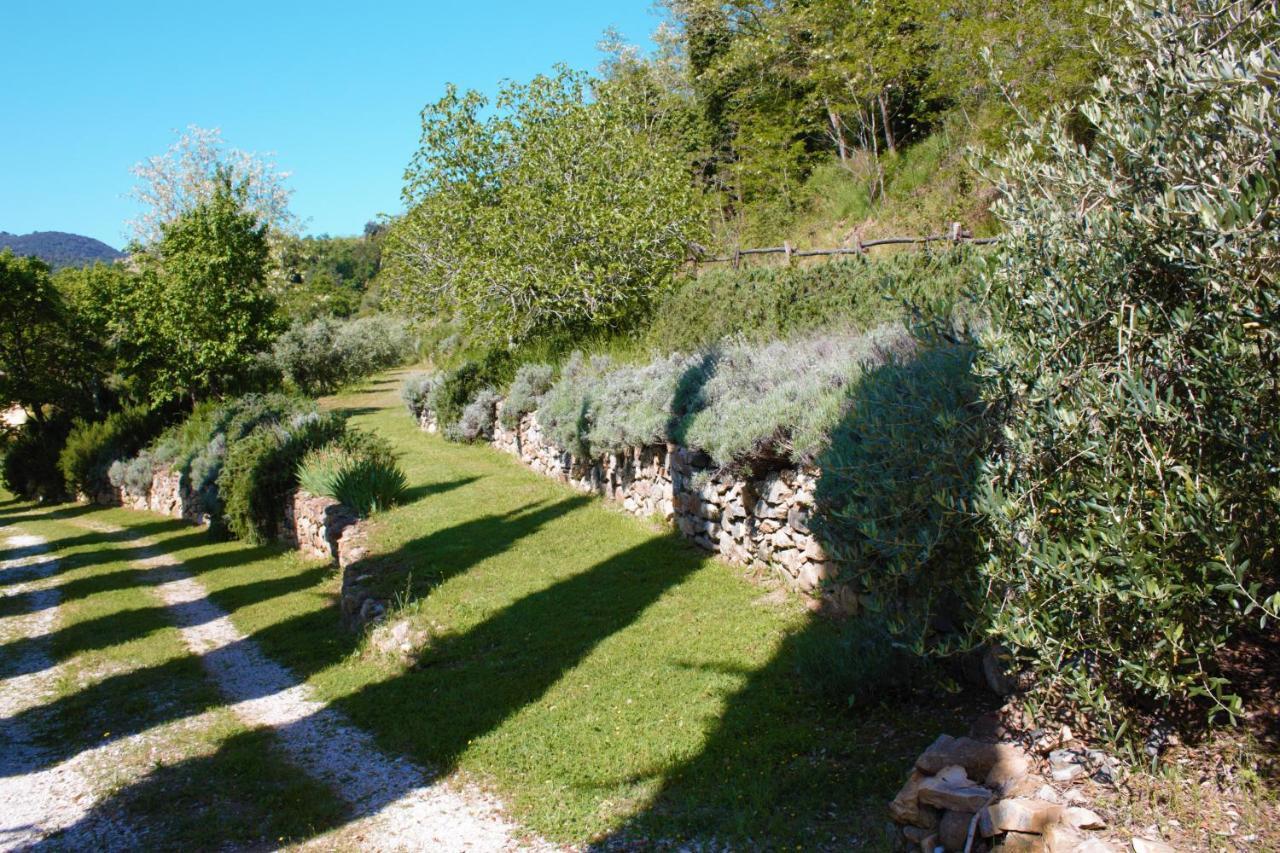 Villa Mulino Della Rivolta Montenero  Exterior foto