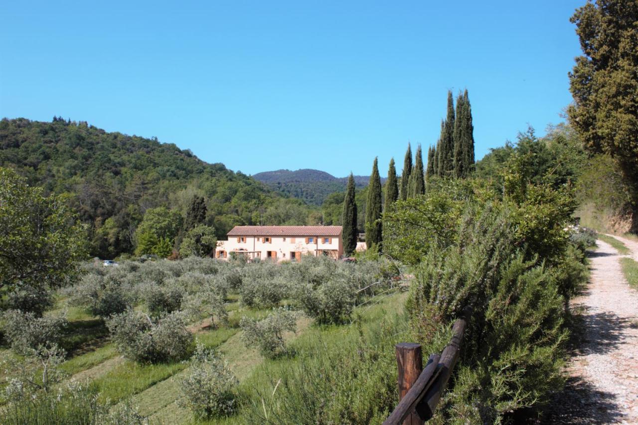Villa Mulino Della Rivolta Montenero  Exterior foto