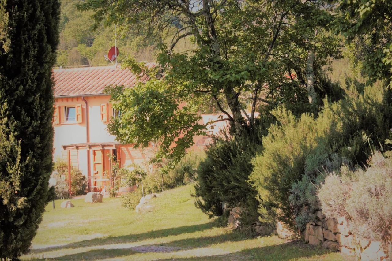 Villa Mulino Della Rivolta Montenero  Exterior foto