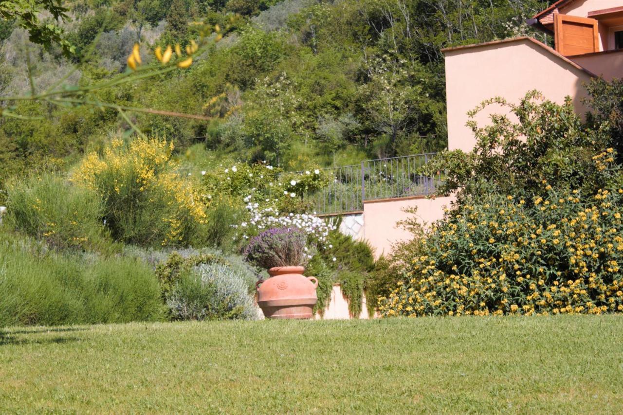 Villa Mulino Della Rivolta Montenero  Exterior foto