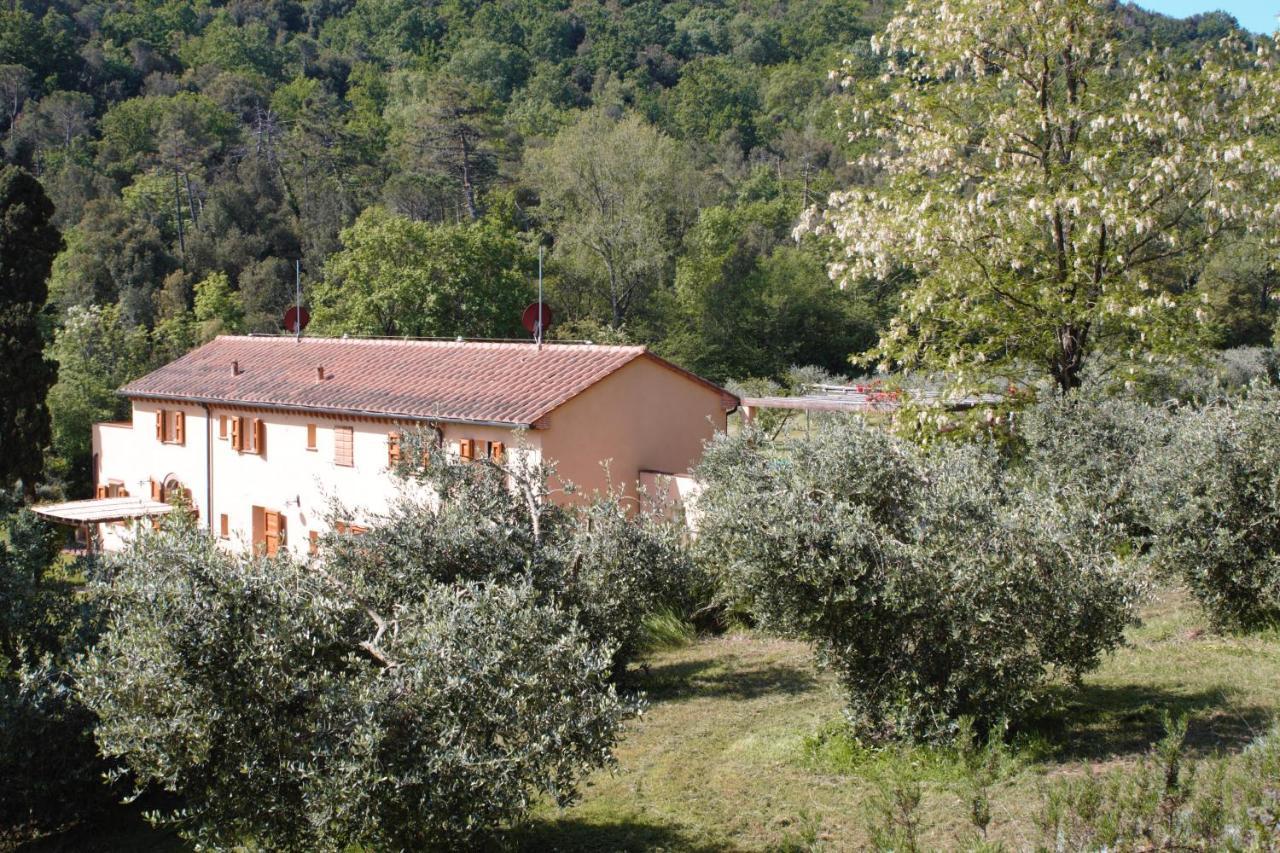 Villa Mulino Della Rivolta Montenero  Exterior foto
